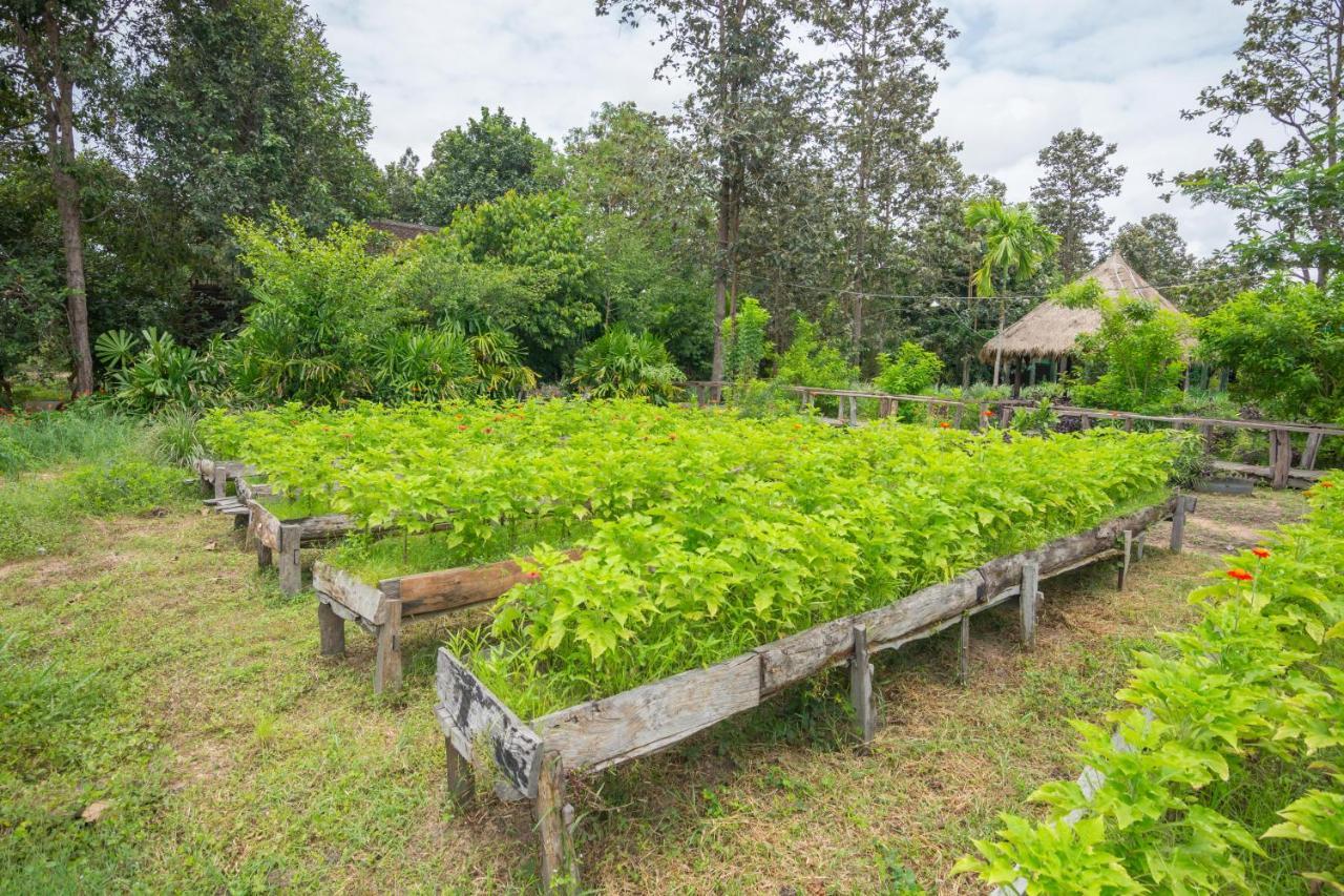 Bong Thom Forest Lodge Siem Reap Esterno foto